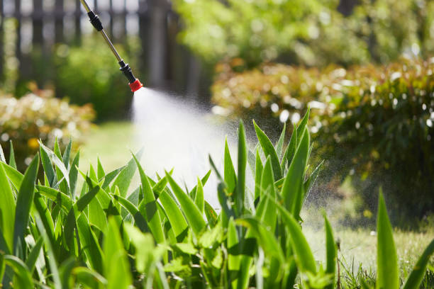 24/7 Emergency Wasp Removal experts in Stonewall, MS